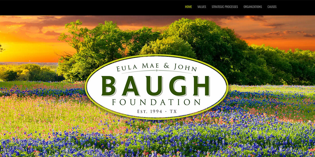 Baugh Foundation website image